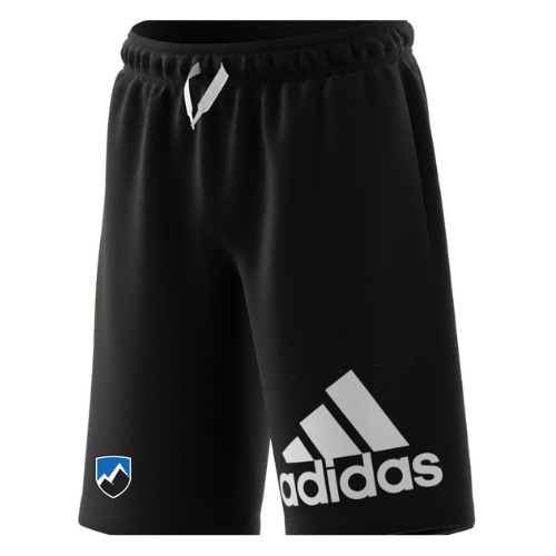 GN4018 Youth Big Logo Shorts